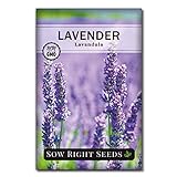 Sow Right Seeds - Lavender Seeds for Planting; Non-GMO Heirloom Seeds with Instructions to Plant and Grow a Beautiful Indoor or Outdoor herb Garden; Great Gardening Gift Photo, new 2024, best price $4.99 review
