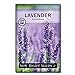 Photo Sow Right Seeds - Lavender Seeds for Planting; Non-GMO Heirloom Seeds with Instructions to Plant and Grow a Beautiful Indoor or Outdoor herb Garden; Great Gardening Gift review