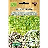 Germisem Orgánica Sprouts Mix Semillas 20 g (ECBIO1900) Foto, nuevo 2024, mejor precio 3,99 € revisión