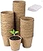 Foto LATERN 100Pcs 8cm Macetas de Semillas de Fibra Biodegradable para Plántulas y Trasplantes con 100pcs Etiquetas de Plantas de Plástico (Blanco 5x1cm) revisión