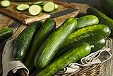Sweeter Yet Hybrid Cucumber Seeds - Non-GMO - 10 Seeds Photo, new 2024, best price $5.99 ($0.60 / Count) review