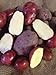 Photo Seed Potato, Red Lasoda, (5 Lbs.), Certified Minnesota Grown Red Lasoda review