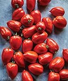 Burpee 'Big Mama' Hybrid | Large Red Paste Tomato | 50 Seeds Photo, new 2024, best price $7.47 ($0.15 / Count) review