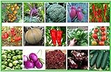 Gemüse Set 2: Broccoli Gurken Zwiebel Rosenkohl Kohlrabi Aubergine Salat Tomate Chili Paprika Melone Samen Saatgut Foto, neu 2024, bester Preis 6,95 € Rezension