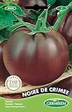 Germisem Noire de Crimée Tomate 20 Semillas (EC8008) Foto, nuevo 2024, mejor precio 2,45 € revisión