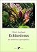 Foto Echinodorus: Die beliebtesten Aquarienpflanzen Rezension