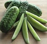 National Pickling Cucumber, 75 Heirloom Seeds Per Packet, Non GMO Seeds, Botanical Name: Cucumis sativus, Isla's Garden Seeds Photo, new 2024, best price $5.98 ($0.08 / Count) review