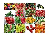 Please Read! This is A Mix!!! 30+ Hot Pepper Mix Seeds, 16 Varieties Heirloom Non-GMO Habanero, Tabasco, Jalapeno, Yellow and Red Scotch Bonnet, Ships from USA! US Grown. Photo, new 2024, best price $5.69 review