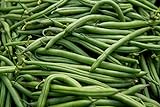 Blue Lake Pole Bean Seeds - Non-GMO - 2 ounces, approximately 175 seeds Photo, new 2024, best price $6.99 review