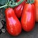 Photo Organic San Marzano Short Vine Tomato ~25 Seeds - Organic, Heirloom, Open Pollinated, Non-GMO, Farm & Vegetable Gardening Seeds review