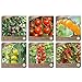 Foto Samenliebe BIO Cherrytomaten Samen Set mit 6 samenfesten Gemüsesamen Sorten für Gewächshaus Freiland und Balkon Tomaten BIO Gemüse Saatgut Rezension