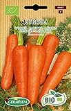 Germisem Orgánica Kuroda Semillas de Zanahoria 4 g, ECBIO9025 Foto, nuevo 2024, mejor precio 3,99 € revisión