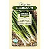 Seeds Of Change 8225 Evergreen Bunching Onion, Green Photo, new 2024, best price $8.99 review