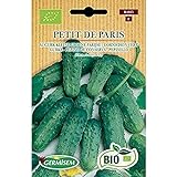 Germisem Orgánica Petit de Paris Semillas de Pepino 2 g Foto, nuevo 2024, mejor precio 3,99 € revisión