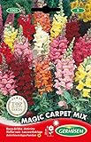 Germisem Magic Carpet Mix Graines de Snapdragon 0.8 g EC1503 Multicolore Photo, nouveau 2024, meilleur prix 2,70 € examen