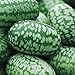 Photo Cucamelon Seeds 35 Seed Pack Mexican Sour Gherkin, Mouse Melon 35 Seeds review
