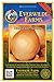 Photo Everwilde Farms - 500 Texas Early Grano Onion Seeds - Gold Vault Jumbo Seed Packet review
