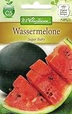 Chrestensen Wassermelone 'Sugar Baby' Foto, neu 2024, bester Preis 2,33 € Rezension