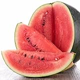 Black Diamond Watermelon Seeds, 50 Heirloom Seeds Per Packet, Non GMO Seeds Photo, new 2024, best price $6.25 ($0.12 / Count) review
