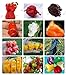 Photo 24 sortes de 200 graines de poivre de fruits de légumes, graines de piment géant + doux poivre + Carolina Reaper » + bonsaï de piment mis en pot examen