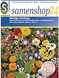Samenshop24´s Bienenfreude, niedrige Blumenmischung (1 Stück) Foto, neu 2024, bester Preis 2,49 € (2,49 € / Stück) Rezension