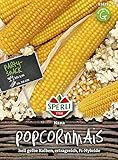 Maissamen - Mais (Popcornmais) Nana von Sperli-Samen Foto, neu 2024, bester Preis 4,97 € Rezension