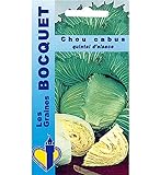 Sachet de graines de Chou cabus Quintal d'Alsace - 3 g - légume feuille - LES GRAINES BOCQUET Photo, nouveau 2024, meilleur prix 3,99 € (1 330,00 € / kg) examen