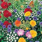Roll Out Flower Seeded Mats That Attract Butterflies - Set of 2, Butterfly Photo, new 2024, best price $16.98 ($8.49 / Count) review