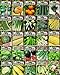 Photo Set of 25 Premium Vegetable & Herb Seeds - 25 Deluxe Variety Premium Vegetable & Herb Garden 100% Non-GMO Heirloom review