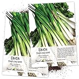 Seed Needs, Tokyo Long White Onion (Allium fistulosum) Twin Pack of 850 Seeds Each Non-GMO Photo, new 2024, best price $4.85 review