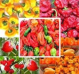 BIG PACK - (500+ Seeds) Hot Pepper Combo I - Bhut Jolokia Ghost Pepper, Habanero Orange, Habanero Red, Jamaican Yellow, Jamaican Red Pepper Seeds- Non-GMO Seeds by MySeeds.Co (BIG PACK - Hot Pepper I) Photo, new 2024, best price $19.95 ($0.04 / Count) review