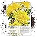 Photo Seed Needs, Dandelion Herb (Taraxacum officinale) Bulk Package of 10,000 Seeds Non-GMO review