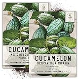Seed Needs, Cucamelon/Mexican Sour Gherkin (Melothria scobra) Twin Pack of 65 Seeds Each Photo, new 2024, best price $8.85 ($0.07 / Count) review
