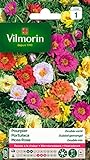 Vilmorin 5633441 Pourpier à Grande Fleur Double varie, Multicolore, 90 x 2 x 160 cm Photo, nouveau 2024, meilleur prix 2,50 € (11,90 € / kg) examen