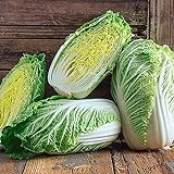 100+ Count Napa Michihili Heading Cabbage Seed, Heirloom, Non GMO Seed Tasty Healthy Veggie Photo, new 2024, best price $2.99 ($0.03 / Count) review