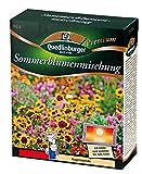 Sommerblumenmischung (ohne Gräser) NEU Foto, neu 2024, bester Preis 7,21 € (72,10 € / kg) Rezension