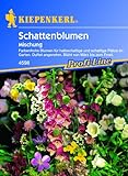 Schattenblumen-Mischung Foto, neu 2024, bester Preis 3,95 € Rezension