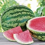 Triple Crown Hybrid Watermelon seed (Seedless) One the best-tasting red variety Photo, new 2024, best price $3.50 review