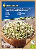 Bio Keimsprossen verschiedene Sorten Alfalfa Radies Brokkoli Weizen Rauke Linsen Zwiebel (Alfalfa) Foto, neu 2024, bester Preis 4,13 € Rezension