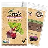 Organic Beet Seeds, APPR. 225, Early Wonder Tall Top Beet, Heirloom Vegetable Seeds, Certified Organic, Non GMO, Non Hybrid, USA Photo, new 2024, best price $7.88 review