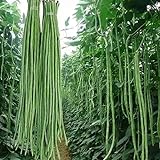 100 Pcs Snake/Yard-Long Asparagus Pole Bean Seeds Heirloom Non-GMO Seeds,for Growing Seeds in The Garden or Home Vegetable Garden Photo, new 2024, best price $7.99 review