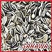 Foto SAHAWA® Sonnenblumenkerne gestreift 25 kg, Vogelfutter, Winterfutter Rezension