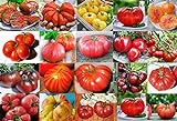 ***Mixed Seeds!!!*** This is A Mix!!! 30+ Giant Tomato Seeds, Mix of 22 Varieties, Heirloom Non-GMO, US Grown, Brandywine Black, Red, Yellow & Pink, Mr. Stripey, Old German, Black Krim, from USA Photo, new 2024, best price $2.89 ($40.99 / Ounce) review