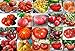 Photo Mixed Seeds! 30 Giant Tomato Seeds, Mix of 19 Varieties, Heirloom Non-GMO, Brandywine Black, Red, Yellow & Pink, Mr. Stripey, Old German, Black Krim, from USA review