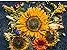 Photo Sunflower Autumn 20K (CHK) Seeds Or 1 Pound review