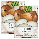 Seed Needs, Walla Walla Onion Seeds for Planting (Allium cepa) Twin Pack of 450 Seeds Each Non-GMO Long Day Photo, new 2024, best price $8.85 review