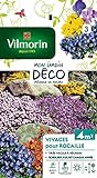 Vilmorin 5860943 Pack de Graines Fleur Vivace pour Rocaille Photo, nouveau 2024, meilleur prix 7,16 € examen