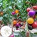 Foto Semillas de tomate raras, 100 piezas / bolsa Semillas Ensaladas de frutas tolerantes a la sequía Semillas de jardín frescas no transgénicas para jardín revisión