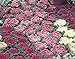 Photo flowering kale Flowering Cabbage -Nagoya Mix’ - 40 Seeds , ornamental kale review