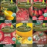 Tomato Seeds /Heirloom Tomatoes, Open Pollinated Garden Seed - Black Krim, Cherokee Purple, Yellow Brandywine, Red Pear, and Yellow Pear Photo, new 2024, best price $9.99 review